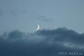 Луна и Венера.  Фотография месяца. Июнь